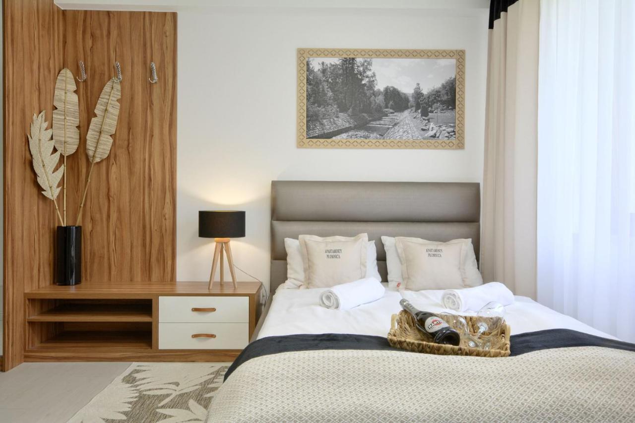 Plomnica Apartment